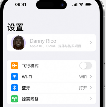 临渭appleID维修服务iPhone设置中Apple ID显示为灰色无法使用 