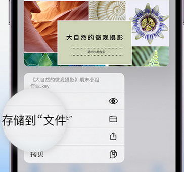 临渭apple维修中心分享iPhone文件应用中存储和找到下载文件