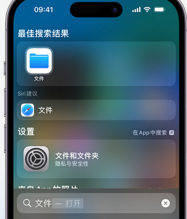 临渭apple维修中心分享iPhone文件应用中存储和找到下载文件 