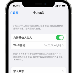 临渭apple服务站点分享iPhone上个人热点丢失了怎么办 