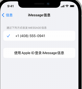 临渭apple维修iPhone上无法正常发送iMessage信息