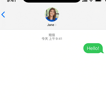 临渭apple维修iPhone上无法正常发送iMessage信息