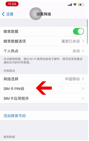 临渭苹果14维修网分享如何给iPhone14的SIM卡设置密码 