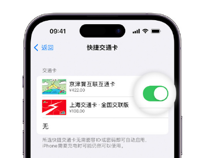 临渭apple维修点分享iPhone上更换Apple Pay快捷交通卡手绘卡面 