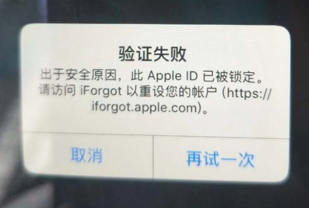 临渭iPhone维修分享iPhone上正常登录或使用AppleID怎么办 