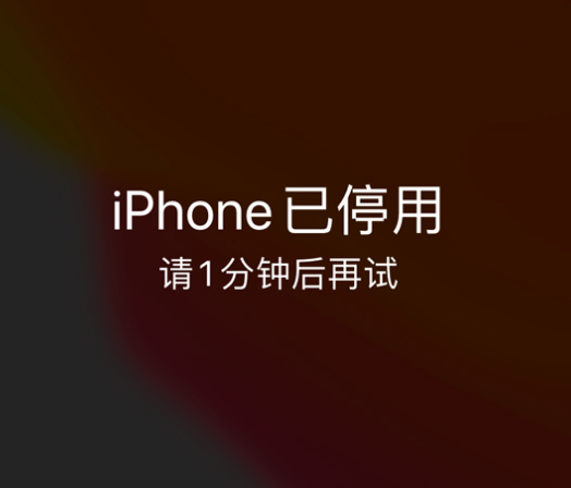 临渭苹果手机维修分享:iPhone 显示“不可用”或“已停用”怎么办？还能保留数据吗？ 