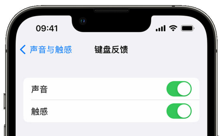 临渭苹果手机维修分享iPhone 14触感键盘使用方法 