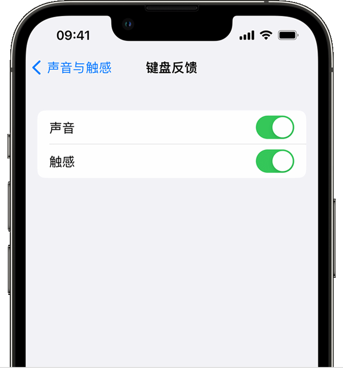 临渭苹果14维修店分享如何在 iPhone 14 机型中使用触感键盘 