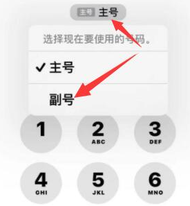 临渭苹果14维修店分享iPhone 14 Pro Max使用副卡打电话的方法 