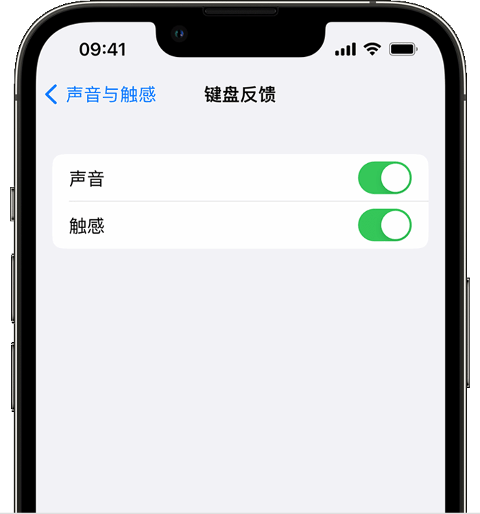 临渭苹果14维修分享iPhone 14 系列机型如何开启键盘声音或触感反馈 