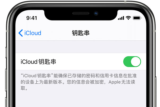 临渭苹果手机维修分享在 iPhone 上开启 iCloud 钥匙串之后会储存哪些信息 