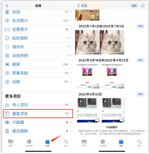 临渭苹果手机维修分享iOS 16 中相册重复项目功能使用方法 