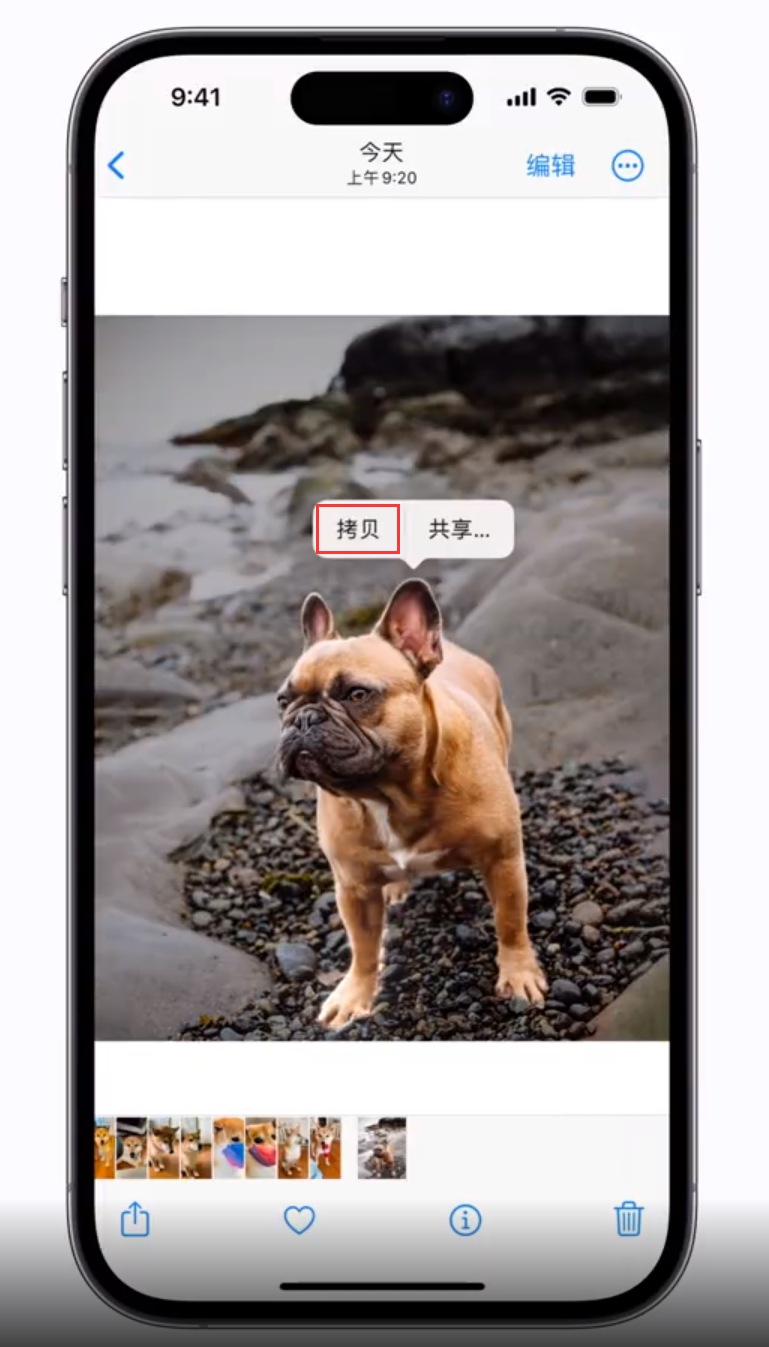 临渭苹果手机维修分享 iOS 16 自带一键抠图功能 