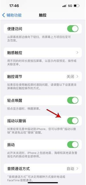 临渭苹果手机维修分享iPhone手机如何设置摇一摇删除文字 