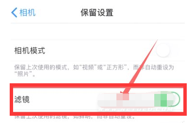 临渭苹果13维修分享iPhone13拍照有绿点是怎么回事 