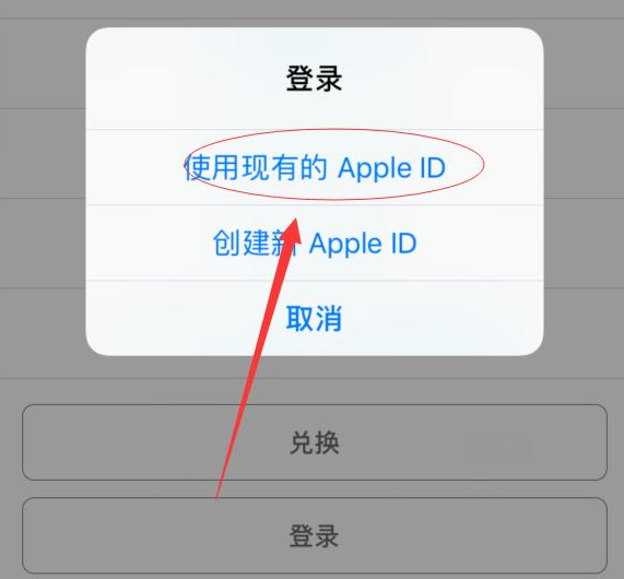 临渭苹果手机维修分享两台iPhone设备可以同时登录一个Apple ID吗 