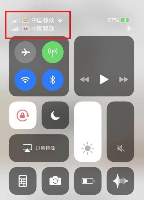 临渭苹果手机维修分享为 iPhone 12 双卡设置标签 